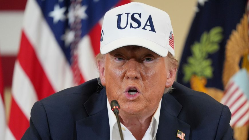 Donald Trump Considers Revoking Rosie O'Donnell's US Citizenship