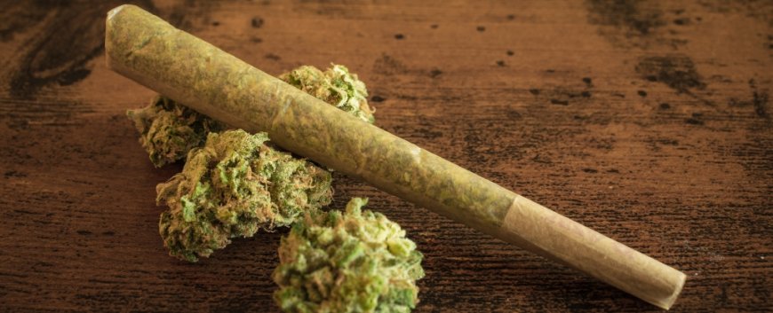 Study Finds Link Between Cannabis Use and Epigenetic Changes in Humans