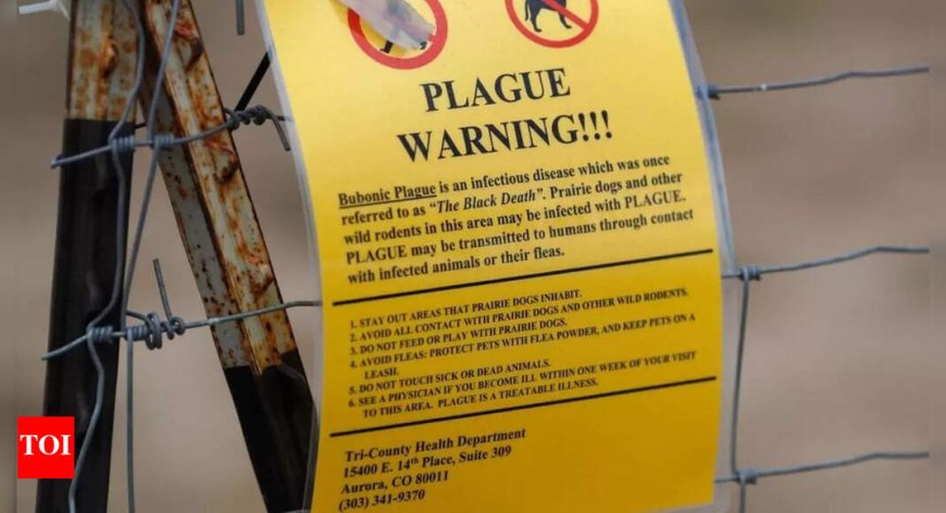 Arizona resident succumbs to pneumonic plague: Facts about the disease