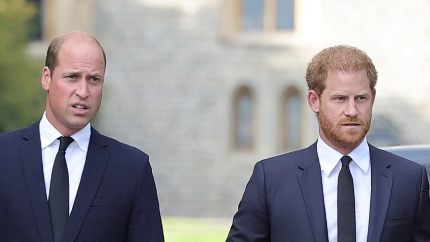 Prince Harry and King Charles' aides hold secret peace summit with support from Prince William, royal experts say