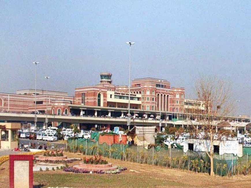 Punjab Implements Bird Control Measures near Lahore Airport