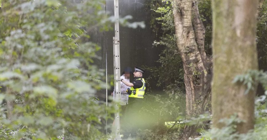 Police Statement on Oasis Fans Storming Heaton Park Fences Without Tickets