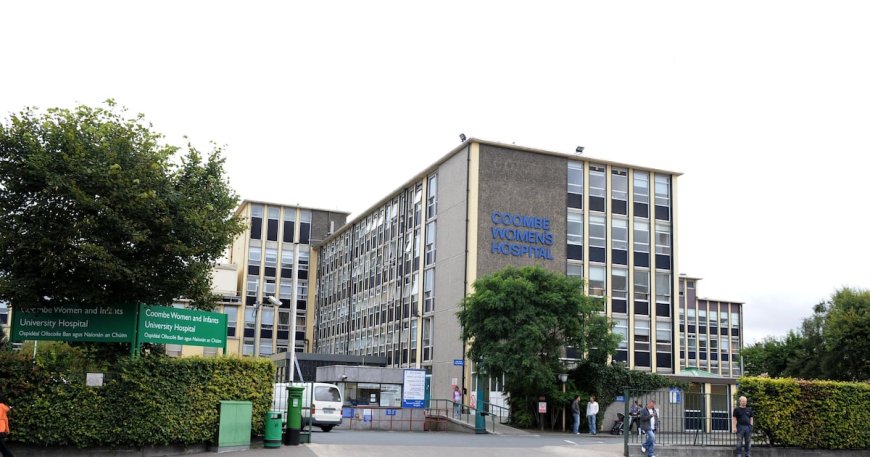 Woman's Claim for Postpartum Bleeding Against Hospital and HSE Dismissed by High Court