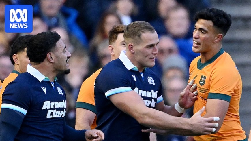 Joseph-Aukuso Suaalii downplays rivalry with Sione Tuipulotu before Wallabies vs British and Irish Lions Test