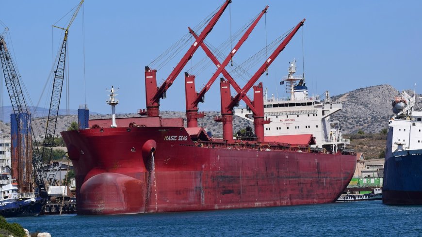 Search Ends for Missing After Yemen's Houthi Rebels Sink Ship in Red Sea