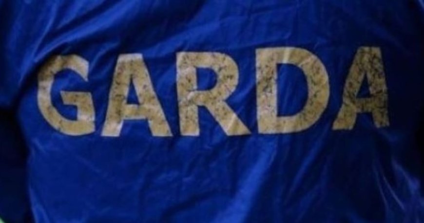 Retired Garda Allowed to Challenge Garda Commissioner Over Irish-Speaking Allowance Issue
