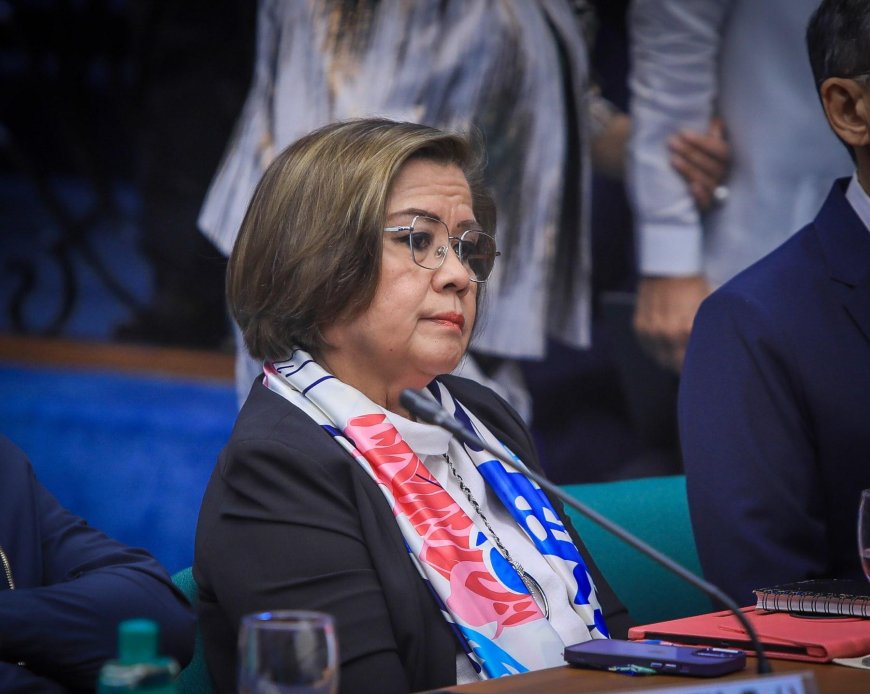De Lima proposes bill for transparency in confidential and intelligence fund spending