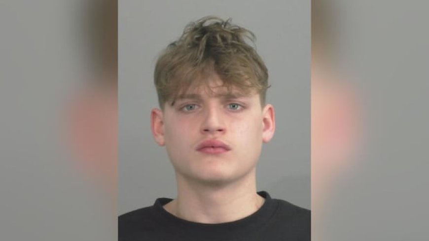 17-Year-Old Suspect Identified in Fatal Shooting of 26-Year-Old Woman in Downtown Hamilton