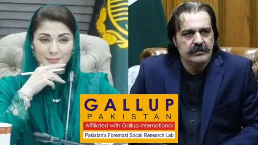 Gallup Survey: Maryam Nawaz's Governance Preferred Over Gandapur's in KP