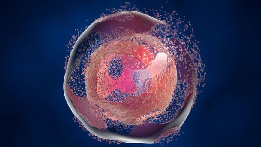 New Method for Detailed DNA Methylation Analysis in Individual Cells