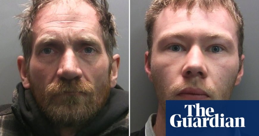 Men Jailed for Toppling Beloved Sycamore Gap Tree on Hadrian’s Wall