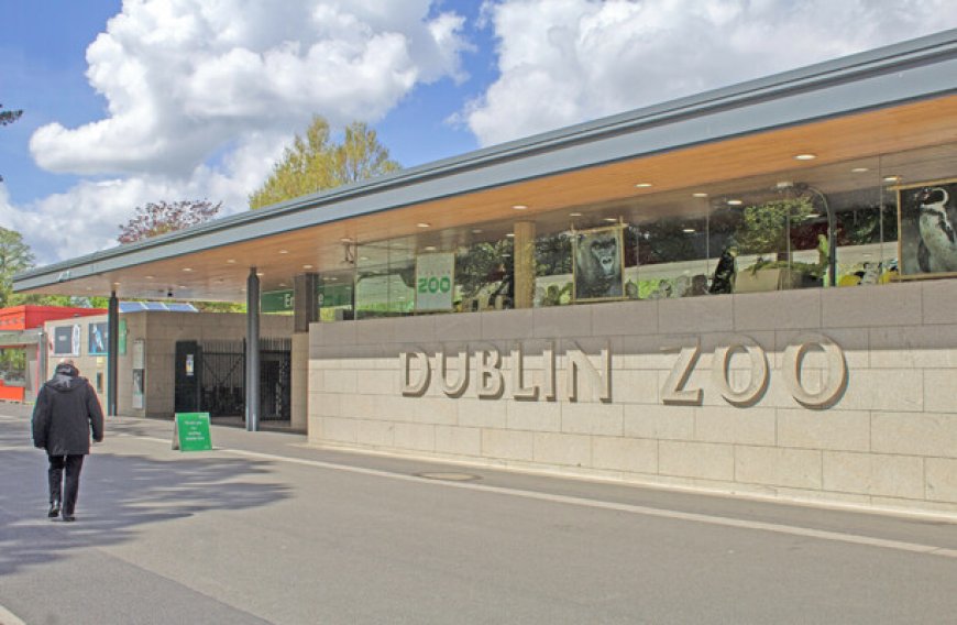 Dublin Zoo Upsets Parents with New Exit Route through Gift Shop