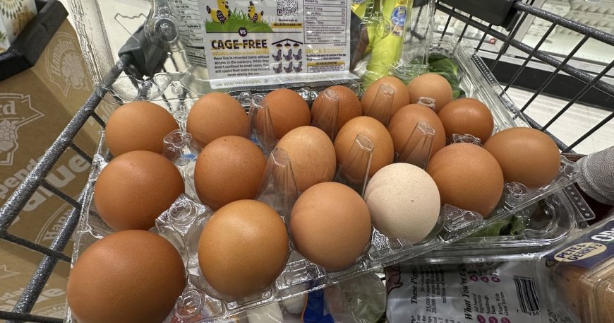 U.S. Inflation Rises in June Due to Tariffs