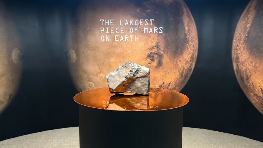 Largest Mars Rock on Earth Up for Auction in NYC for $4 Million