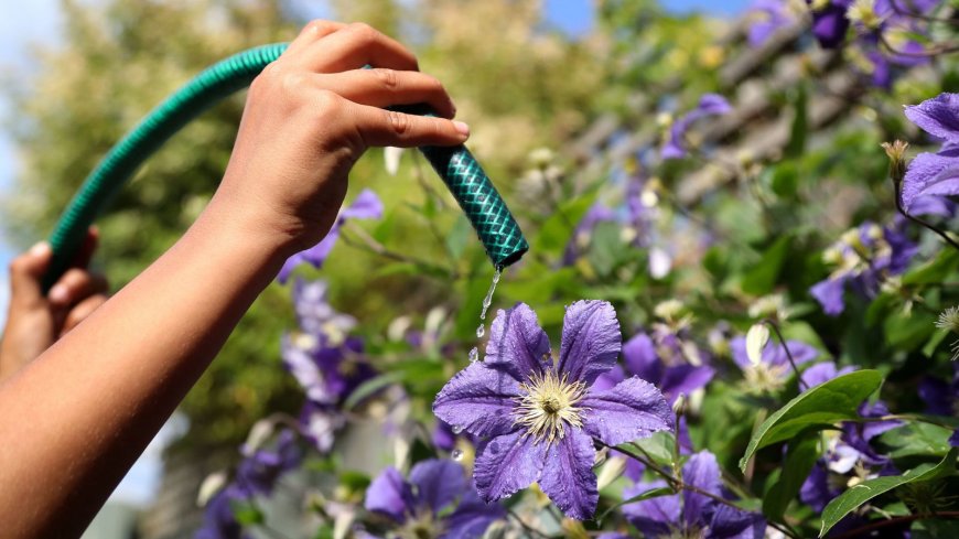 Midlands Declares Drought with Possible Hosepipe Bans Ahead