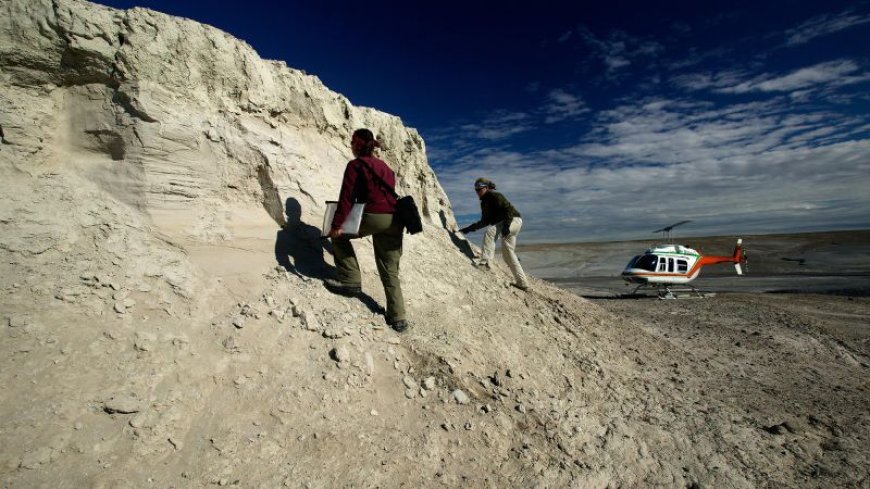 Scientists extract ancient proteins from 24 million-year-old rhino fossil