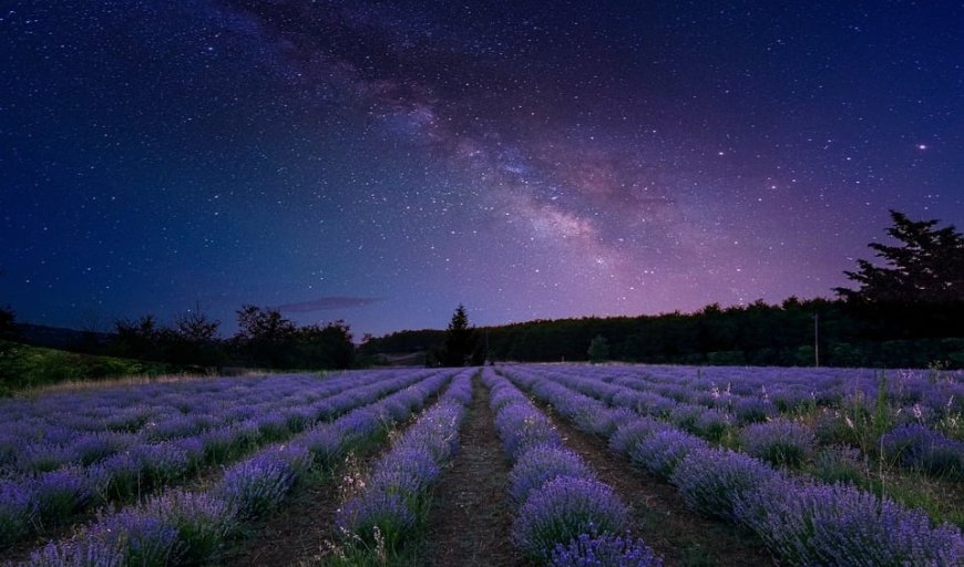 Scientists Witness Formation of New Planetary System