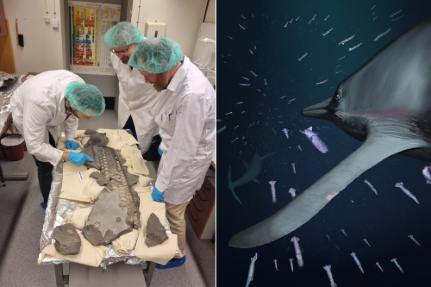 Giant Ancient Marine Reptile Used Stealth to Hunt in Dark Waters
