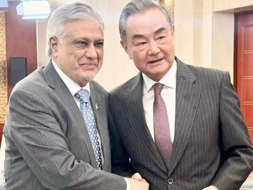 Pakistan's Dar Meets Chinese Foreign Minister Wang Yi at SCO Summit