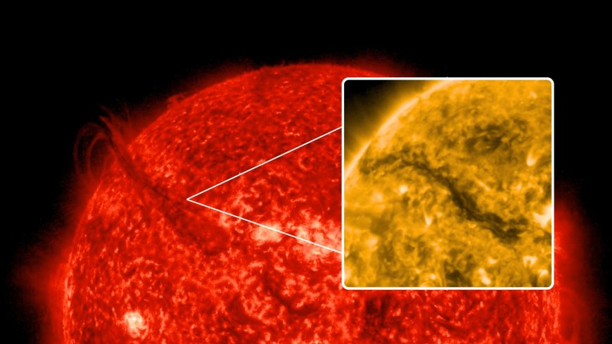 Colossal Sun Eruption Carves 250,000-Mile 'Canyon of Fire'