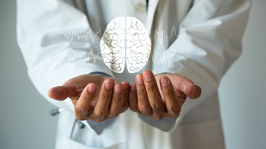 Study Reveals Important Brain Mechanism for Memory Formation