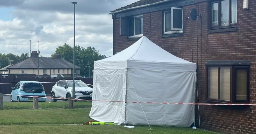 Elderly Couple Killed in Arson Attack at Home