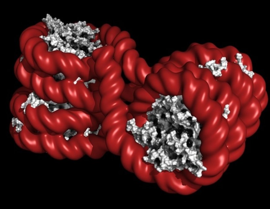 Controlling Inflammation and Tumor Growth through DNA Methylation Editing