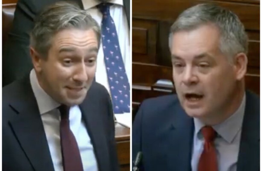 Tánaiste Simon Harris Mocks Pearse Doherty's Supervalu Mix-up in Dáil