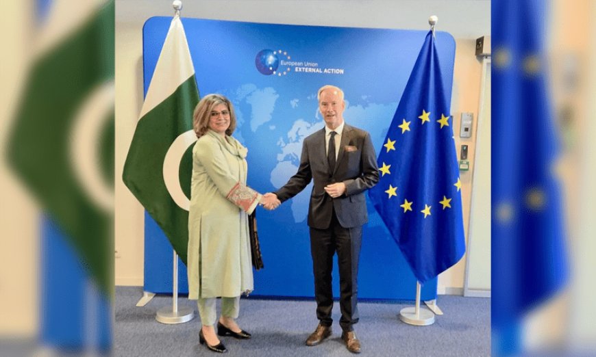 Pakistan and EU Strengthen Security Cooperation in Bilateral Talks