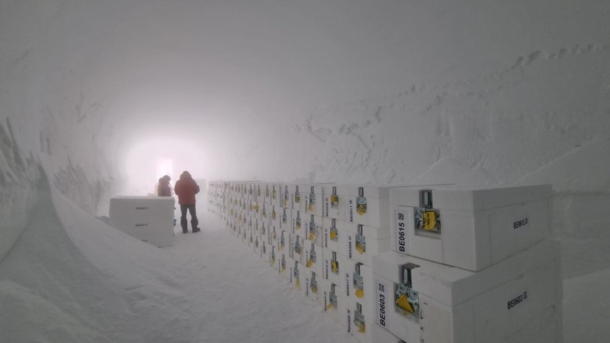 Antarctica's oldest ice arrives in UK for climate analysis