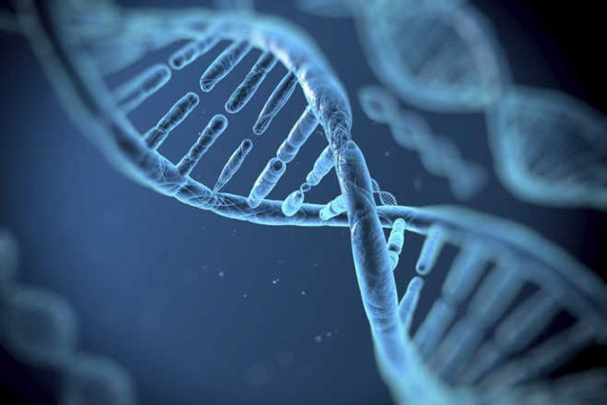 Breakthrough: Eight Healthy Babies Born with DNA from Three People