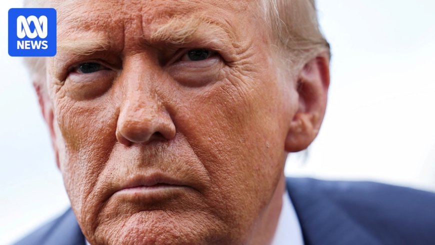 Donald Trump's Promise on Epstein Files Challenged by MAGA Supporters