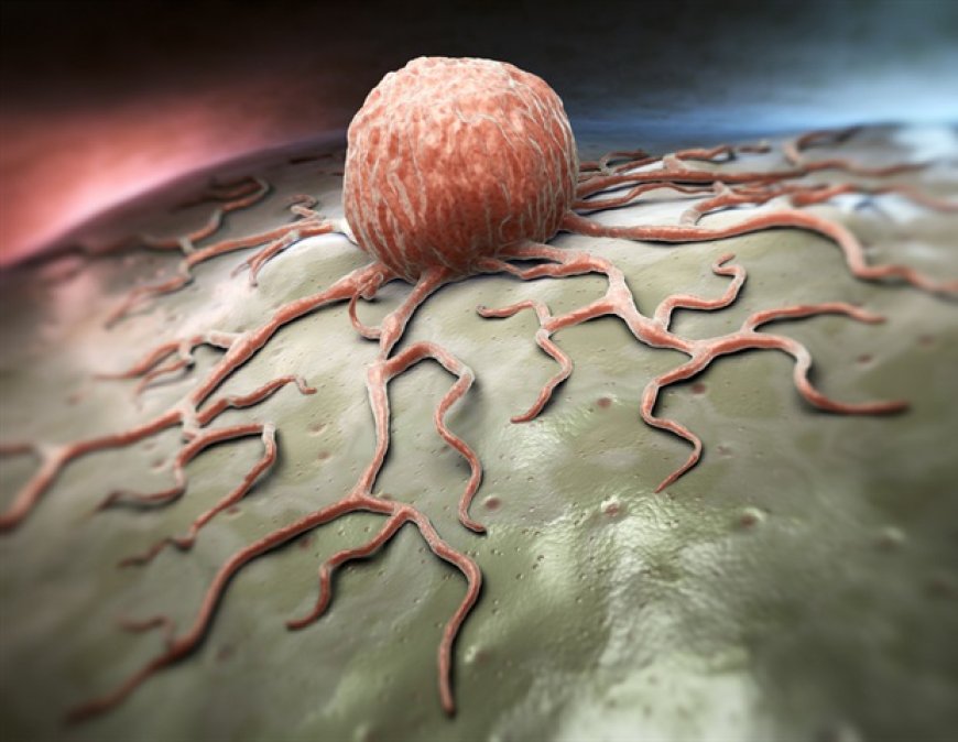 New drug complex prompts cancer cells to alert immune system