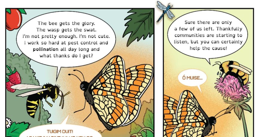 Ireland’s Marsh Fritillary Butterfly Takes Center Stage in New Comic Promoting Insect Conservation