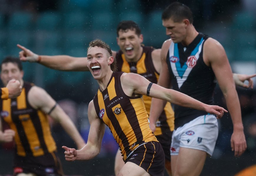 Hawthorn Beats Port Adelaide in Rainy Tassie Match