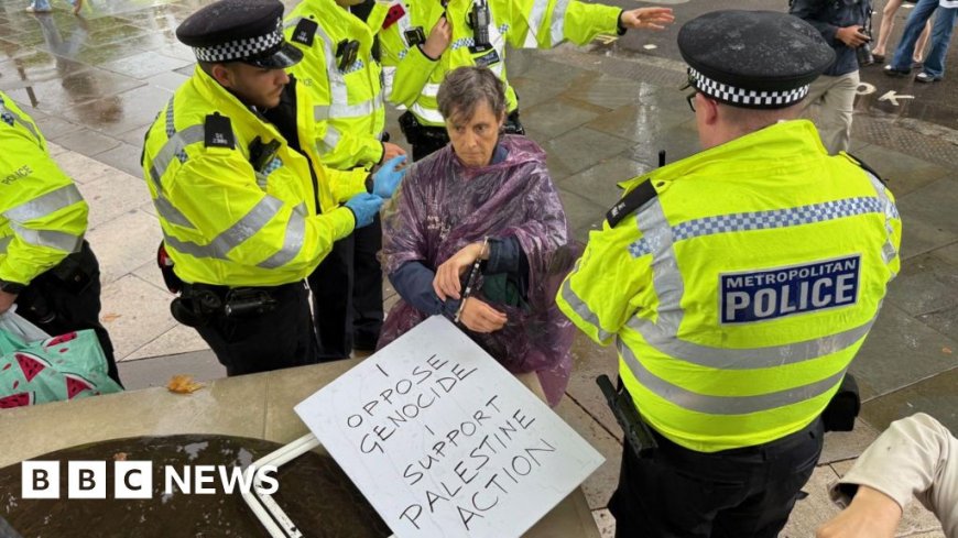 Ninety-six arrests made at protests against Palestine Action ban