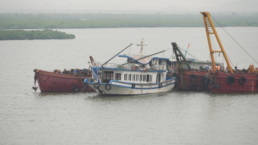 Vietnamese Survivor Recounts Escape from Capsized Tour Boat