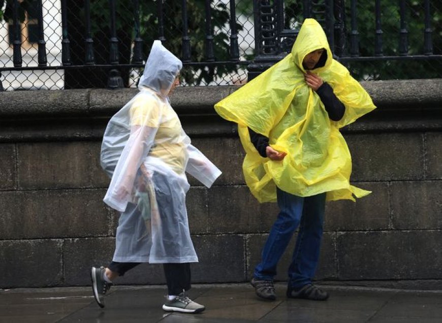 Status Yellow Rain and Thunderstorm Warnings Across Several Counties