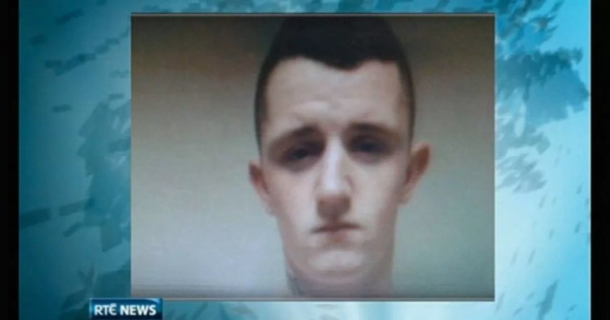 Dublin Killer Released Early After Brutal Stabbing Death
