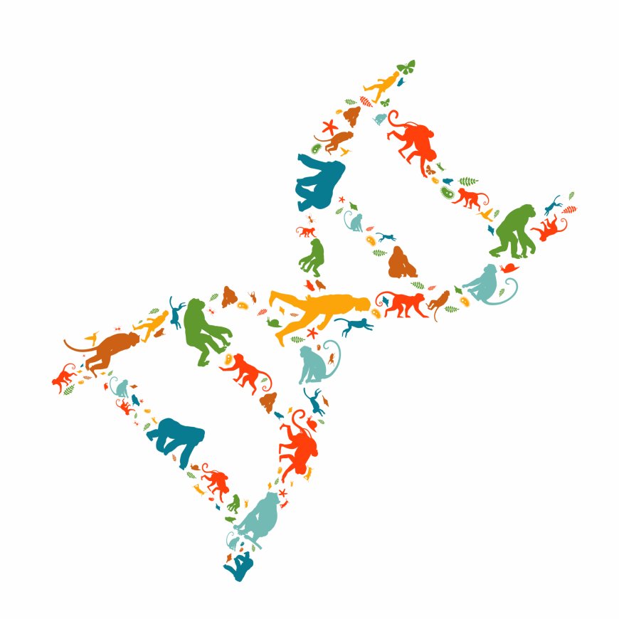 Study Uncovers Gene Regulatory Roles of Transposon Elements in Human Development