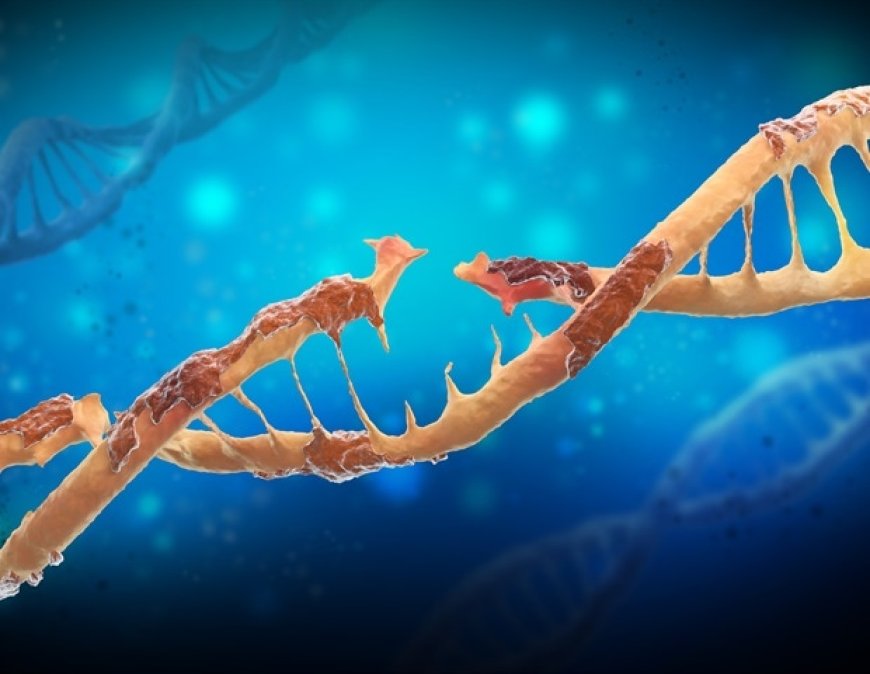 Study Reveals How Cells Repair DNA Damage to Prevent Cancer, Neurodegeneration, and Aging