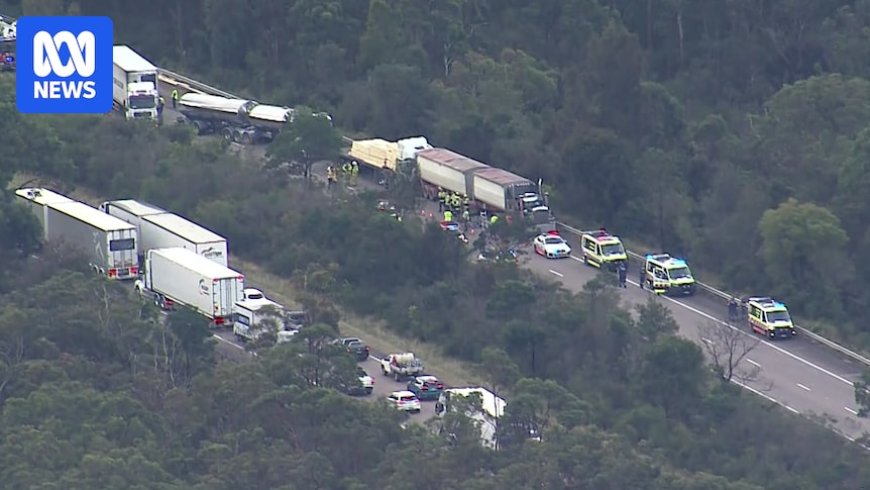 Truck driver killed in crash on M1 Motorway near Newcastle