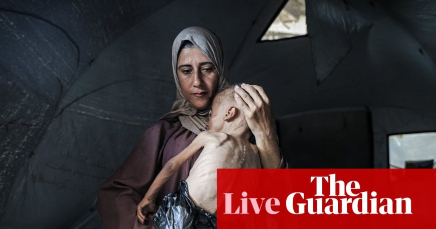 Gaza Faces Mass Starvation Crisis: Aid Agencies Sound Alarm