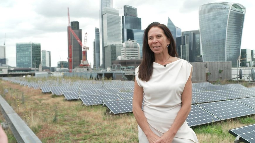 Green Roofs Helping London Stay Cool Amid Heatwaves