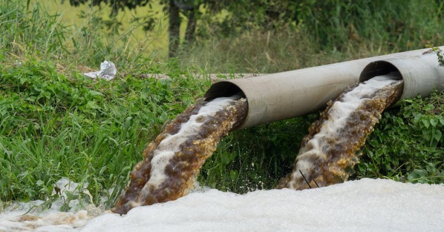 Innovative Electrochemical Method Cleans Nitrate-Contaminated Water Safely and Economically