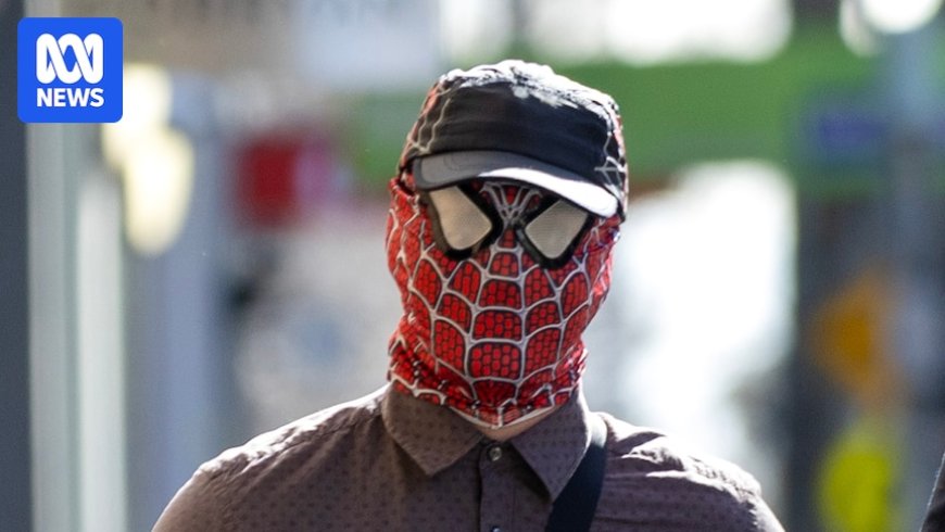Man in Spider-Man Costume Faces 208 Charges for 'Pam the Bird' Graffiti