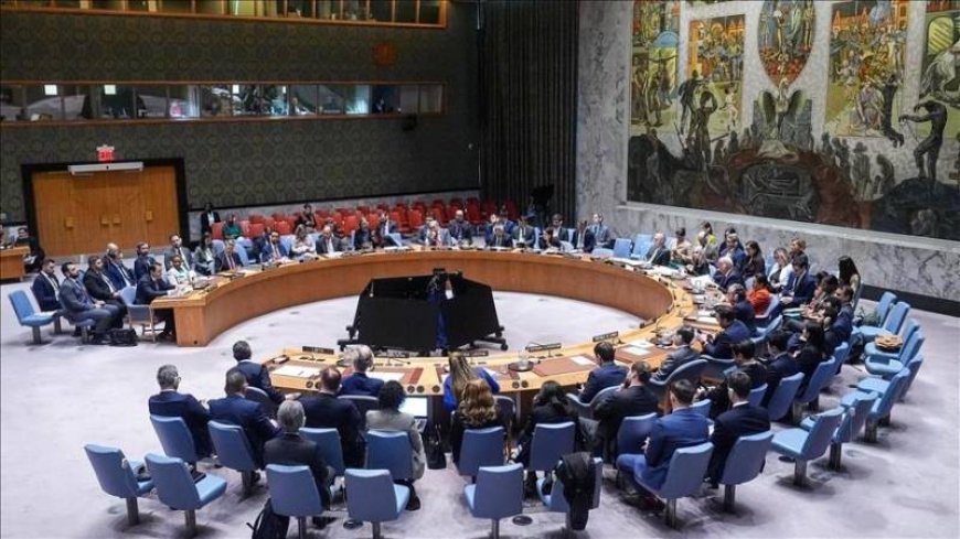 OIC Urges UN Security Council Action on Gaza Crisis