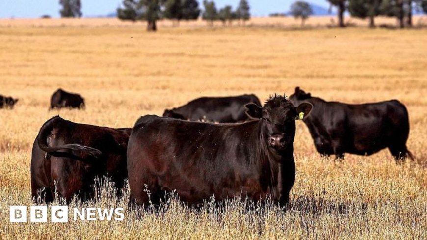 Australia to allow US beef imports following trade dispute with Trump