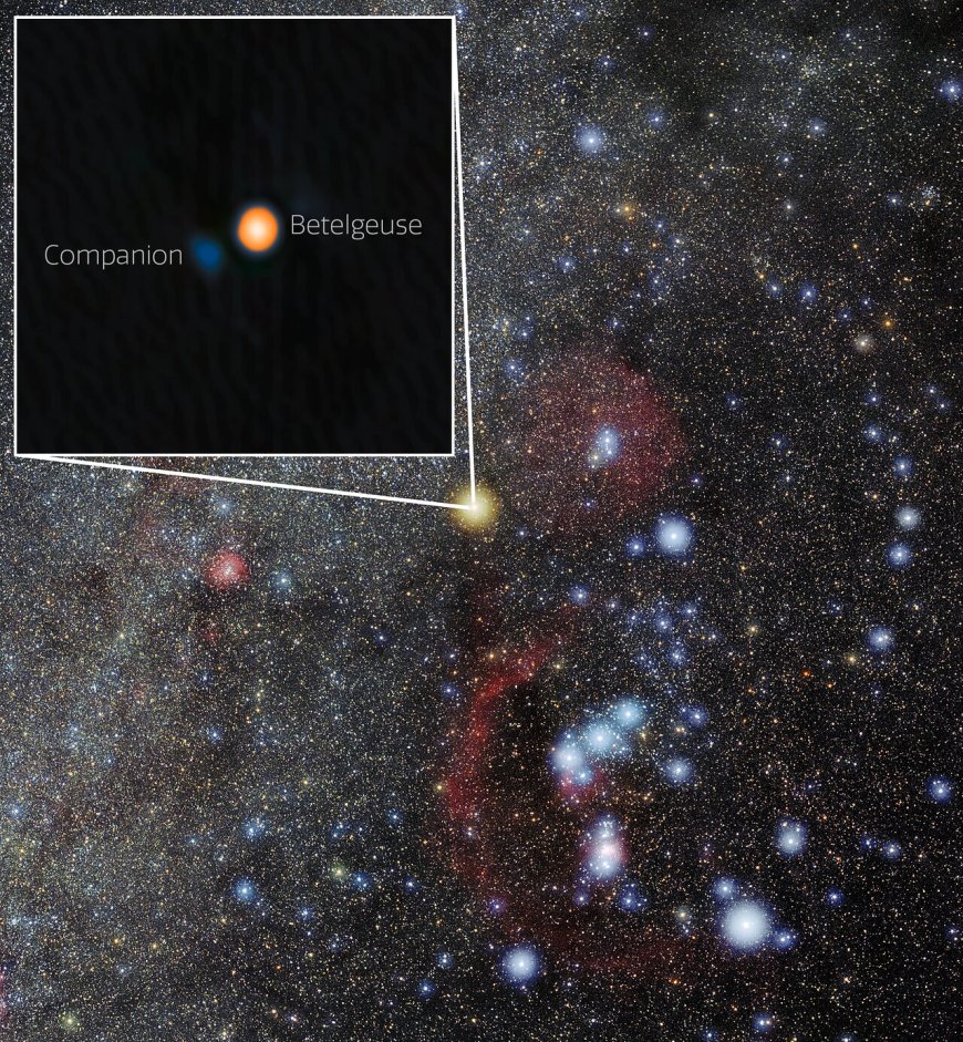 Betelgeuse's Newly Discovered Companion Star Revealed