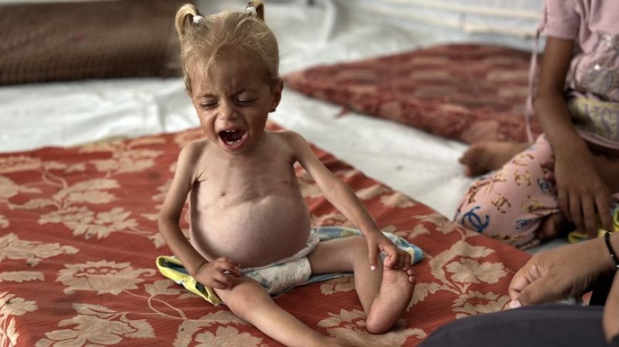 Gaza Faces Starvation Crisis: Will Netanyahu Act?